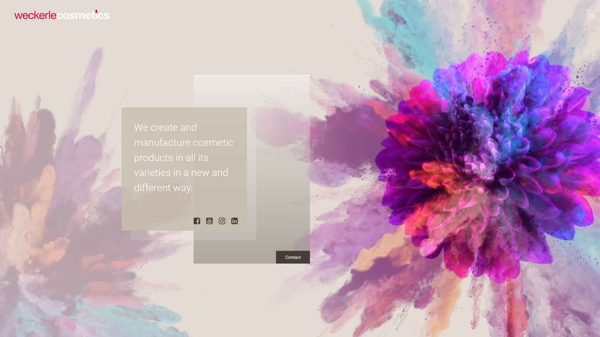 Weckerle Cosmetics – SEO-, GEO- & AEO-Referenz